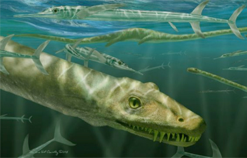 Палеонтологи откопали «китайского дракона», жившего 240 000 000 лет назад