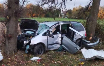 Водитель Ford влетел в остановку и в дерево под Минском