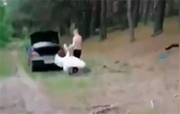 Живодер запихивает живого лебедя в багажник авто на московитских номерах в Витебской области