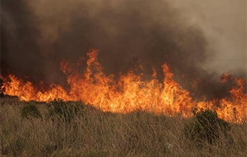 Крупный травяной пожар подбирается к АЗС в Ростовской области