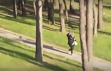 Видеофакт: Вороны нападают на людей в Солигорске