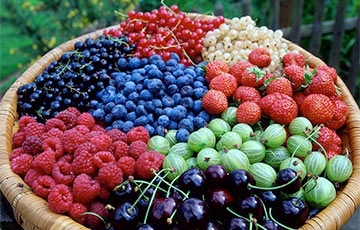 Сколько беларусы могут заработать на ягодах, фруктах и грибах?