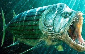 Американец вытащил из реки «рыбу-бульдога», жившую 90 миллионов лет назад