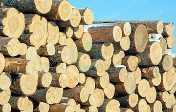 Литва ужесточает контроль за ввозом древесины из Беларуси