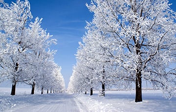 В первый рабочий день нового года беларусов ожидают морозы и метели