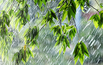 2500 лет изучений дождя: ученые развеяли самые популярные мифы об осадках