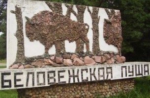 Возле беловежской пущи в Гродненской области пройдет конкурс лесорубов