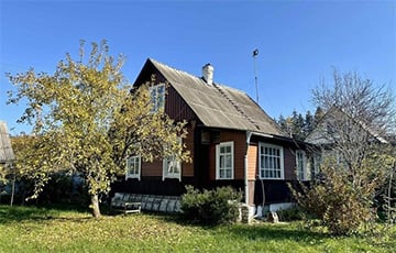 Беларус приехал на дачу и обнаружил настоящий погром