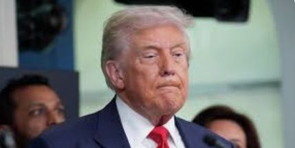 Трамп намерен организовать немедленную встречу Путина и Зеленского