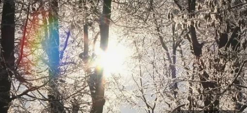 В Беларуси морозы до -33°C. МЧС предупреждает