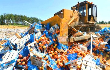 В России уничтожили 35 тонн груш, лука и хрена из Беларуси