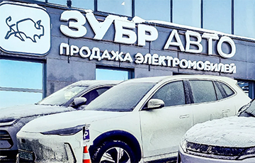 «Зубр Автогрупп» оставила инвесторов без выплат