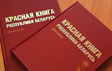 Красная книга Беларуси пополнилась новыми видами