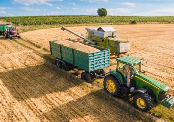 Белстат отмечает увеличение производства сельхозпродукции в Беларуси