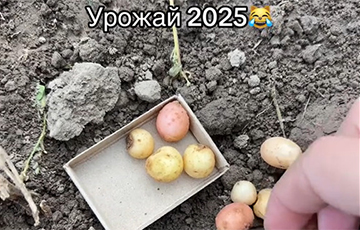 «Крупную в коробок собрала, а мелкую куда дела?»