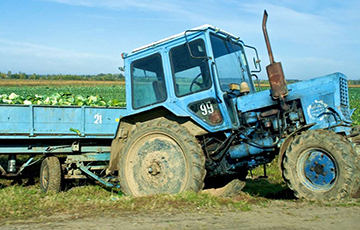 Сельхозпроизводство в Беларуси снижается