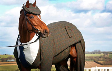 Загадка «коня в пальто»: откуда появилась эта фраза и что она означает