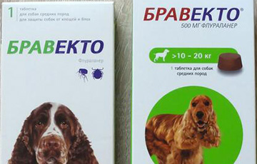Из зоомагазинов и ветклиник в Минске пропали таблетки против клещей