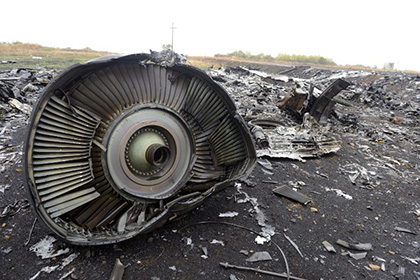 Следствие допустило «обстрел из другого самолета» разбившегося под Донецком «Боинга»