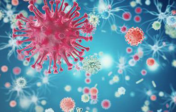 В России заявили о «сибирской» мутации коронавируса