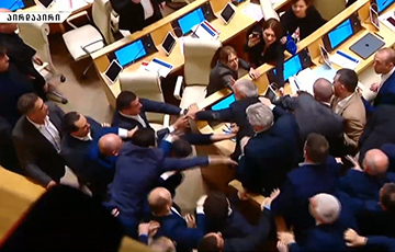В парламенте Грузии произошла драка между депутатами