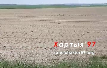 Беларус показал, как лукашисты превратили древний памятник в поле
