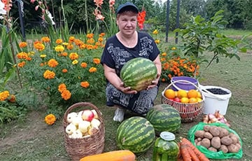 Как беларуска выращивает сладкие 10-килограммовые арбузы без парника и удобрений