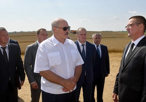 Лукашенко о погоде: Нас еще Господь пожалел