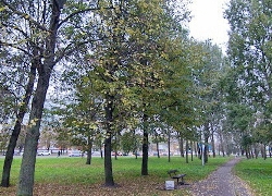 Жители Минска требуют благоустроить парк 40-летия Октября