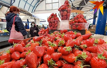 Названы первые цены на беларусскую клубнику в 2022 году