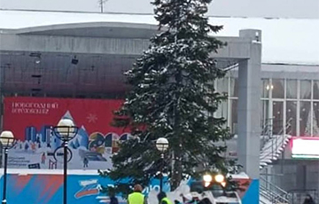 Фотофакт: в московитском городе установили елку-ершик