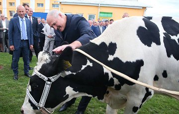 Чем Лукашенко занимался весь год?