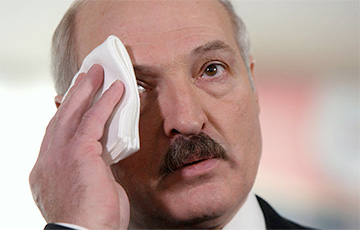 Лукашенко: Люди пытаются бросить камень в огород моих решений