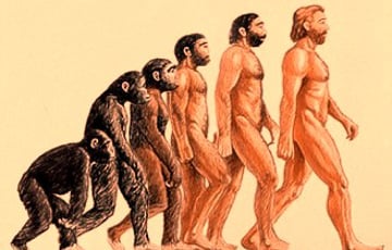 Ученые выяснили, почему у людей в ходе эволюции пропала шерсть