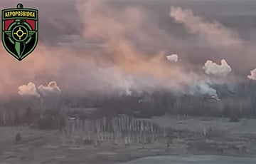 Украинские артиллеристы с самого утра уничтожили спрятанную в лесу технику врага