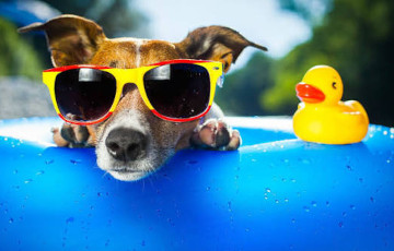 Как минчане выживают при 33 °C