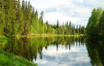 Беларусские ученые порассуждали, сможет ли современный человек выжить в дикой природе