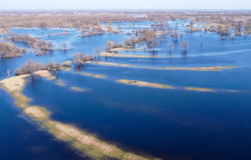 В трех областях Беларуси фиксируются подтопления