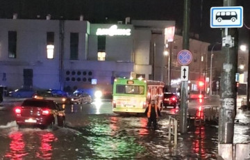 Гомель затопило