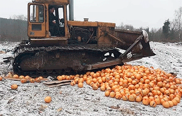 В России уничтожали 2,5 тонны помело, ввезенных из Беларуси