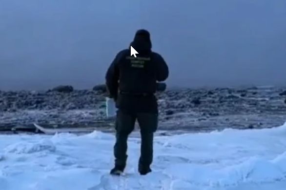 Под Мурманском ищут пропавшую туристку из Беларуси