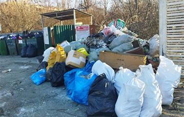 В Казани предложили стирать мусорные пакеты после остановки строительства мусоросжигательного завода