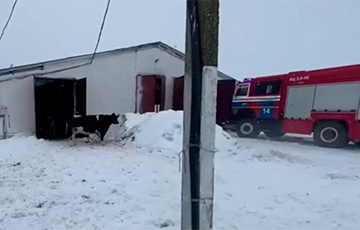 В Стародорожском районе горела молочно-товарная ферма