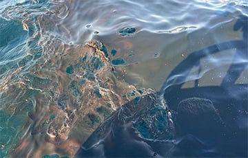 В РФ произошла утечка нефтепродуктов в Черное море