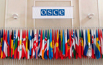 В ПА ОБСЕ призвали международное сообщество обратить внимание на ситуацию в Беларуси
