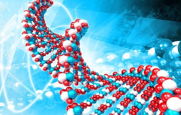 Биологи описали передачу генетической информации вне ДНК через поколения