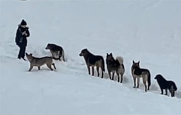 «Во всем виноват только человек»