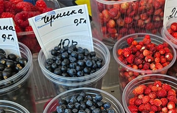 На минской Комаровке уже появилась первая черника
