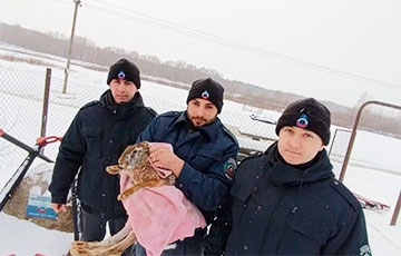 Осводовцы под Гомелем спасли провалившегося под лед зайца