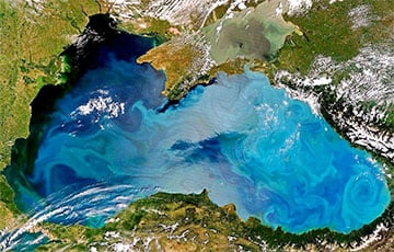 Foreign Affairs: Украина выиграла битву за Черное море